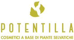 logo-potentilla-small