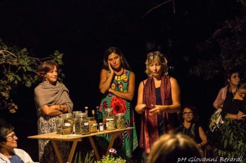 le potentile e le erbe